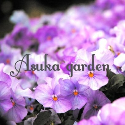 鍵編みアクセサリー販売中です♡セール情報配信します!あすかの日常はインスタにて☺️💗
🌹minne https://t.co/wL1RwVTrkv
🌹creema https://t.co/yECjPh5qG0