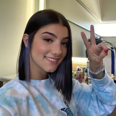 Charli damelio with fans
