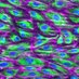 Barakat Vascular Mechanics Lab (@barakatlab) Twitter profile photo Barakat Vascular Mechanics Lab (@barakatlab) Twitter profile photo