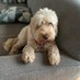 Laura Towler ๐บ๐ฆ๐ด๓ ง๓ ข๓ ณ๓ ฃ๓ ด๓ ฟ (@mumofthemo) Twitter profile photo Laura Towler ๐บ๐ฆ๐ด๓ ง๓ ข๓ ณ๓ ฃ๓ ด๓ ฟ (@mumofthemo) Twitter profile photo