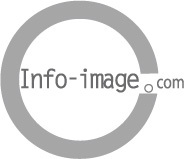 Infoimage's profile picture. 