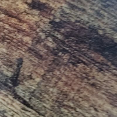 SourRipple's profile picture. IVR Developer.  XRP tuna fish