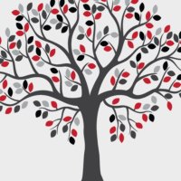 Barrington 220 EF (@barrington220ef) 's Twitter Profile