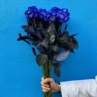 زينب الفضلي💙 (@zeynabf2) 's Twitter Profile
