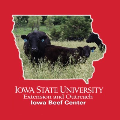 The Iowa Beef Center at Iowa State University serves as the extension program to cattle producers.