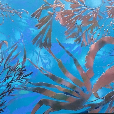 Kilcock Art Galleryさんのプロフィール画像