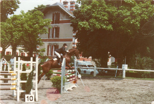 paroujb's profile picture. Adore les chevaux les séries tv et l'informatique