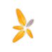 A Coeur Joie France (@acoeurjoie_fr) Twitter profile photo A Coeur Joie France (@acoeurjoie_fr) Twitter profile photo