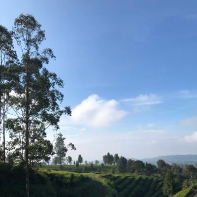 bitibith's profile picture. 