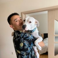 Michael Zhao (@mikeyyyzhao) 's Twitter Profile
