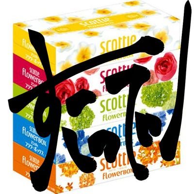 scottie_0317's profile picture. 趣味でティッシュの妖精をやっている者です。 
最近は推しが好きすぎて、推しへの愛のツイート多め。それでもまだまだツイートし足りないので今後もっと増えることが予想されます。不快に感じる方は早めのミュートまたはフォロー解除をオススメします！