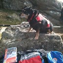 Sean Paul Harmer - @seanharmer1 - Twitter