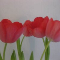 HEROINAS (@heroinass) 's Twitter Profile Photo