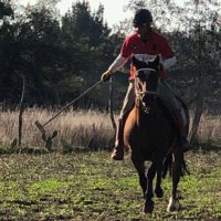 Juan Carlos Becerra (@jcbecerra14) 's Twitter Profile Photo Juan Carlos Becerra (@jcbecerra14) 's Twitter Profile Photo