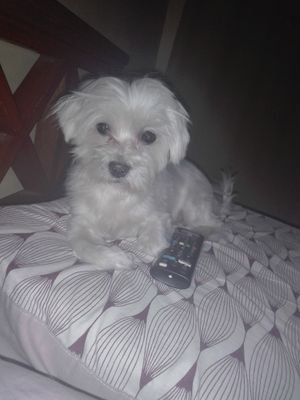 Mery90389392's profile picture. 