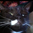 Anne Friend - @Annefriend - Twitter