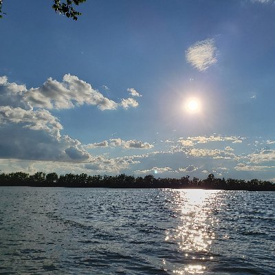 Rihab_Frht_2's profile picture. 