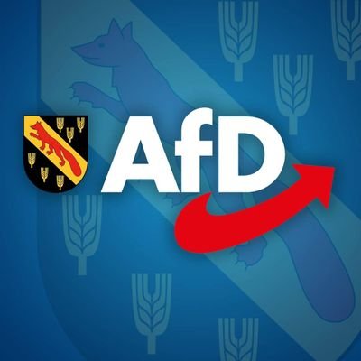 Das offizielle Twitter-Profil des AfD-Bezirksverbandes Berlin-Reinickendorf.