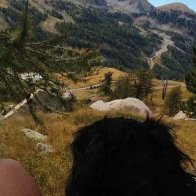 DrtzNoe's profile picture. Aime la vie