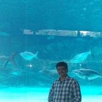 Dilip Jain(@DilipJa67503630) 's Twitter Profile Photo