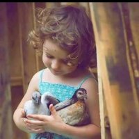 Aeda Mohammad (@aedamohammad) 's Twitter Profile