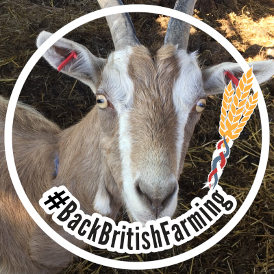 Roy Hunt & family have farmed over 100 yrs a farm & shop producing & selling home reared pork & award winning pies as seen BBC Home Comforts with James Martin