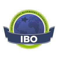 IBO Blueberry ORG (@iboblueberry) 's Twitter Profile Photo IBO Blueberry ORG (@iboblueberry) 's Twitter Profile Photo