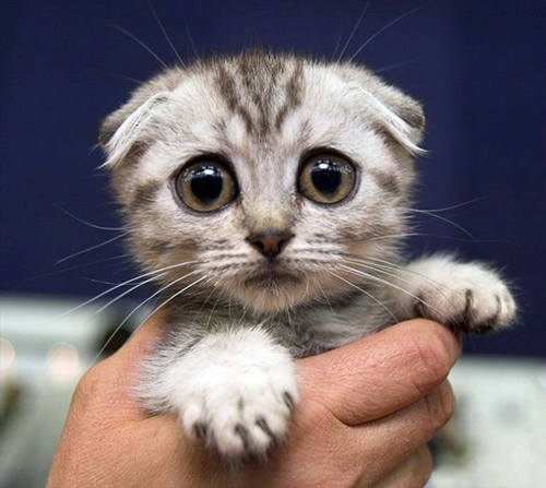 baltika_9's profile picture. 