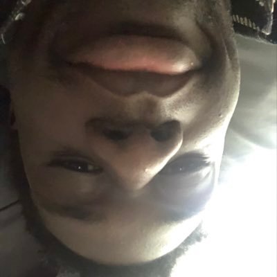 plainkwane's profile picture. what the hell is going on. non dairy presenting 🚫🥛alive (dying)