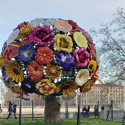 Mischiva's profile picture. A Canadian ~ fighting 💪to end animal suffering around the world 🌎 come fight with me!!