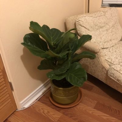 danielbt's profile picture. Engineer 👨🏻‍💻