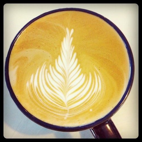 Coffee, whole beans, espresso, iced & blended, smoothies, floats, pastries, free WiFi, outdoor seating!
