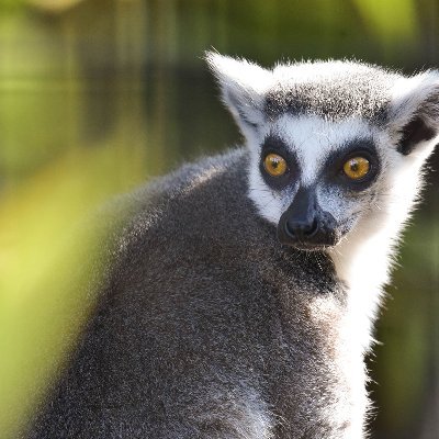 oceanlo01240031's profile picture. Theres a million fish in the sea. But I'm Mermaid.