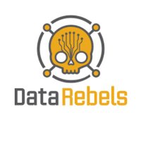DataRebels(@Data_Rebels) 's Twitter Profile Photo