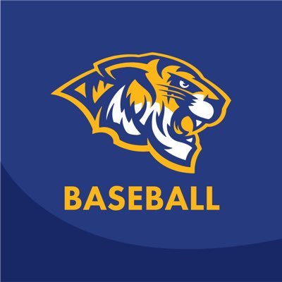 CCCKTigerBSB Profile Picture