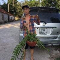 Mr quang (@tcquang2) 's Twitter Profile