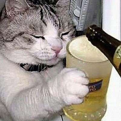 danjil4a's profile picture. здоровый чел , алекватный