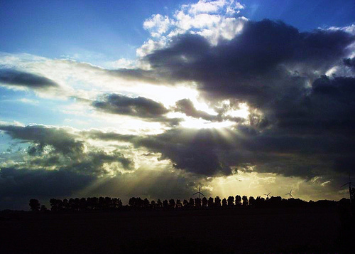 Chiroyli sochilgan ayol mushuklari