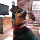 bella moss - @queenbella63 - Twitter