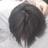 bitnerL's profile image