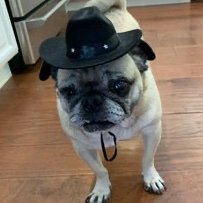 jhprior's profile picture. Formerly  @AppStore editorial, @WIRED. Occasional backpacker, slow runner, animal lover. I like the serial comma and bright shiny gadgets.