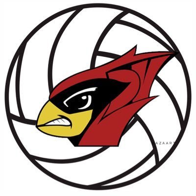 DVHS_Volleyball Profile Picture