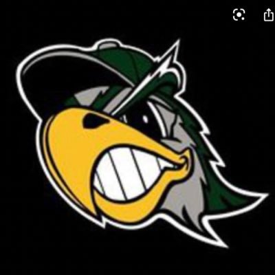 Dennison Silverhawks 14u Coach