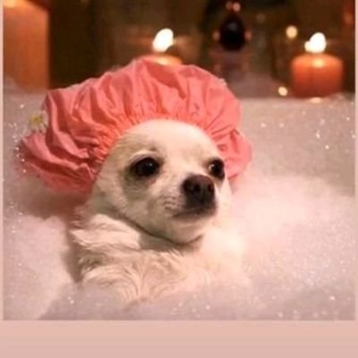 Jaqueribeiro_2's profile picture. 