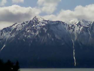 cmuesing's profile picture. 