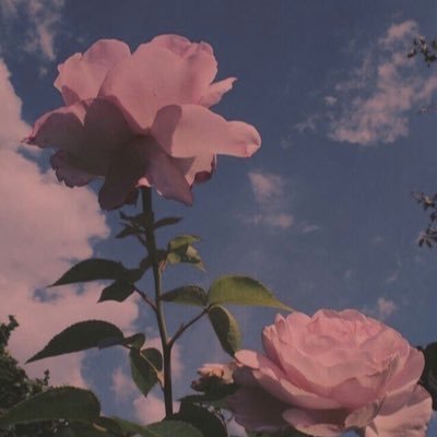 xxshelby28's profile picture. 