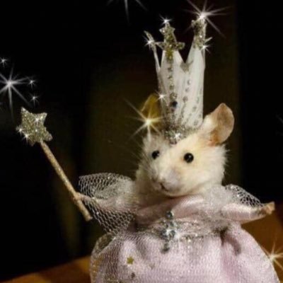 Manuel Videsさんのプロフィール画像