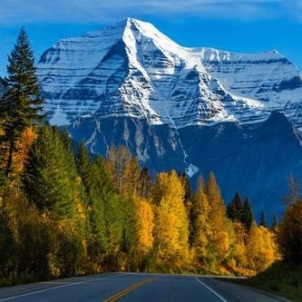 kkkzjim's profile picture. 🇨🇦Vancouver / INFJ / S