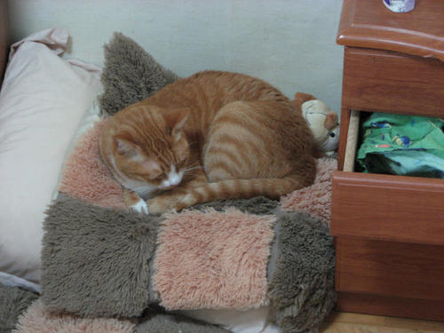 SunburntGringo's profile picture. Doing my best to earn Employee of the Year honors.