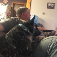 James Green (@jamesgr00486092) 's Twitter Profile